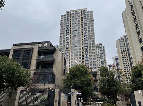 上海这些房子卖爆了！(图11)