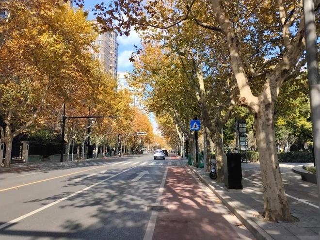 古北99古北99官方网站2025发布：抢占国际社区(图6)